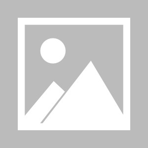 百家乐集团-张奔斗：中国姑娘不胜则已 一胜便是一串连胜